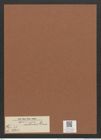 Surirella caldensis Grun. (de-Toni-Nr.: Genus 53, Species 2303) Zeichnungen Sammlung Grunow Mappe 02506 (Herbarium_W_Grunow_drawings_Folder_02506)